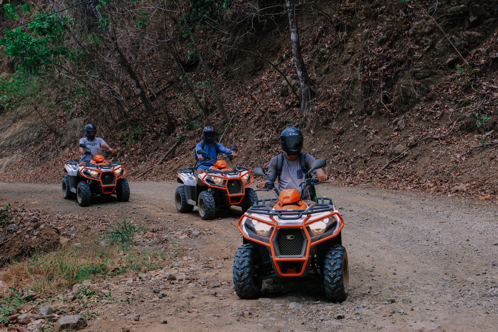 View Point and Beach Tour en ATV