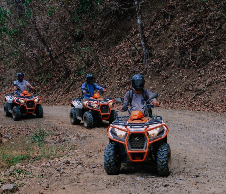 Group tour